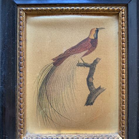 Pair Of Teeny Antique Silk Paintings Of Birds Reclectic
