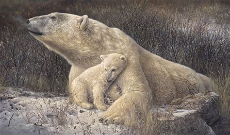 News Promo Stunning Wildlife Paintings