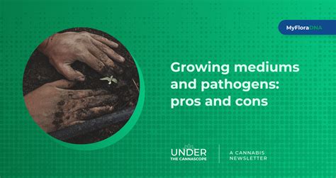 Growing Mediums And Pathogens Pros And Cons