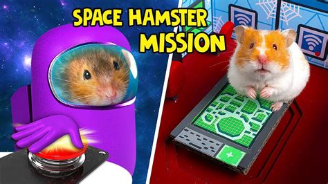 Hamsters Adventure On Space Station Youtube