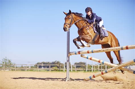 Show Jumping Equestrian