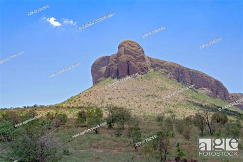 Landscape In The Marakele National Park Limpopo South Africa Stock