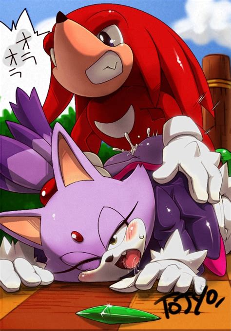 Aku Tojyo Blaze The Cat Knuckles The Echidna Sega Sonic Series