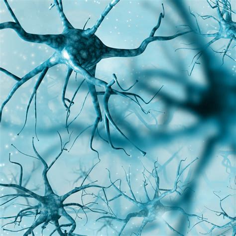 The 7 Stages Of Als The Progression Of A Nonlinear Disease