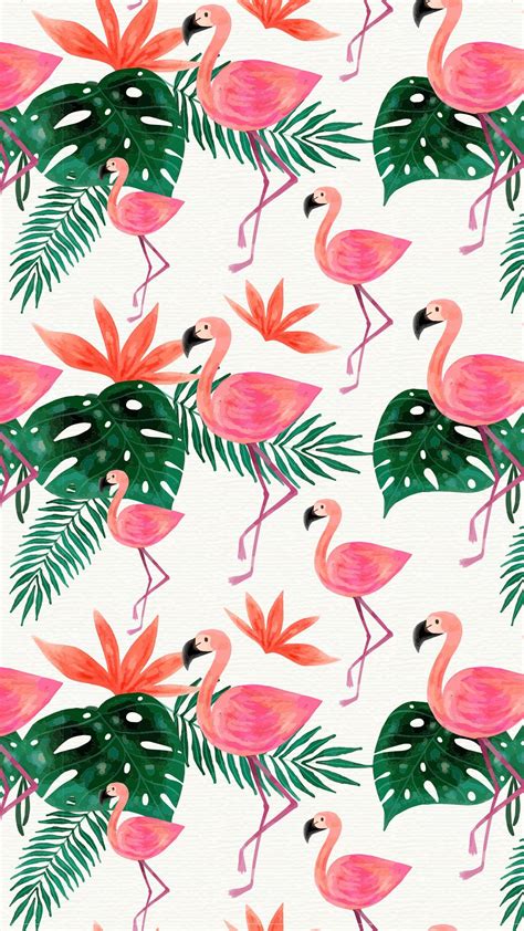 Flamingo Phone Wallpaper Kolpaper Awesome Free Hd Wallpapers