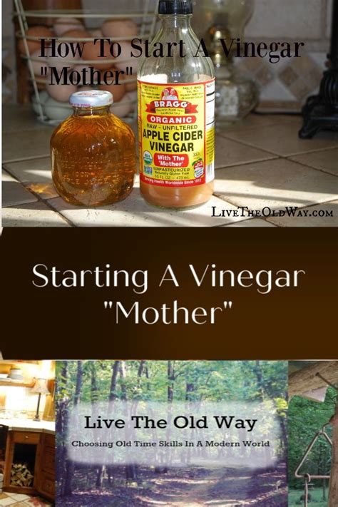 Make Your Own Vinegar Mother Apple Cider Vinegar Recipes