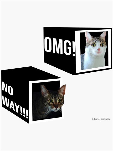 Omg No Way Cat Face Meme Sticker For Sale By Moniquitoth Redbubble