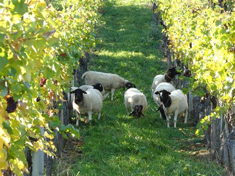 über uns Schaffhauser Bauernverband