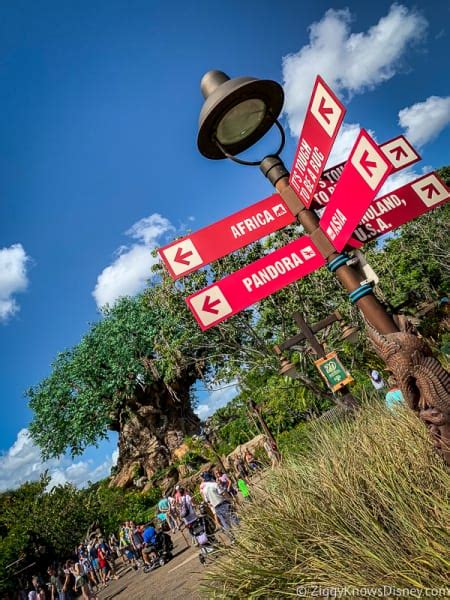 Disneys Animal Kingdom Park Guide Walt Disney World