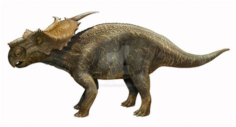 Top 10 Ceratopsians Paleontology World