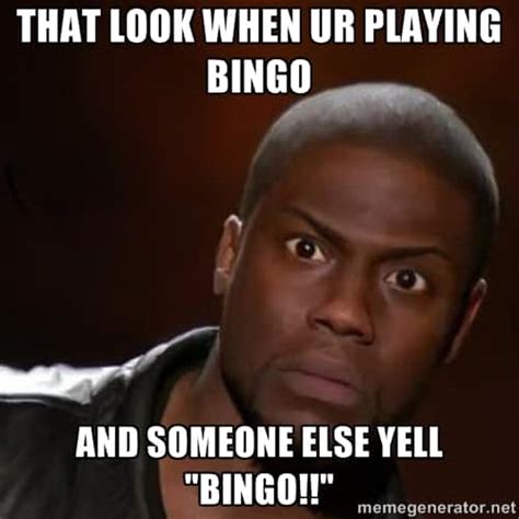 top 10 funny bingo memes to make your day