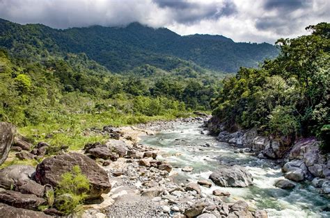 Visit Pico Bonito National Park Exclusive Travel To Honduras Landed