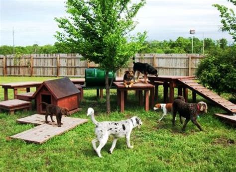 Consider your dog's favorite activities and skills to help decide on the sport he will most enjoy when the two of you head outside for some physical fun. backyard-dog-playground-ideas | HomeMydesign