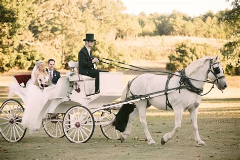 Horse And Carriage Arrival To The Wedding Ceremony Wedding Winter