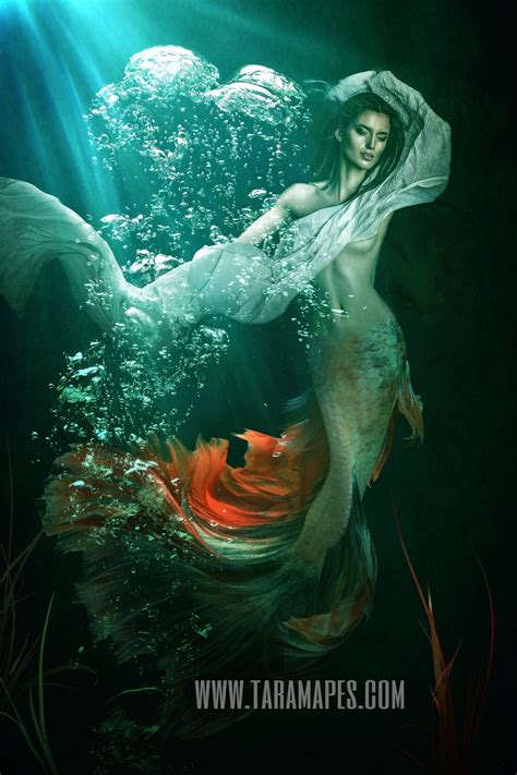 Although layers are constructed individually, it is helpful to rearrange and link layers when creating more advanced images. Mermaid Underwater Digital Background - Layered PSD ...