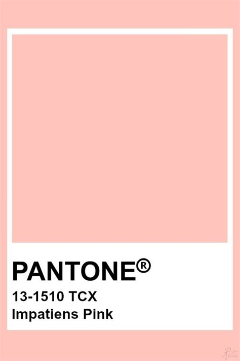 Pantone Impatiens Pink Pantone Tcx Pantone Pink Pantone Palette