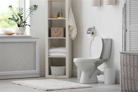 Vastu Tips For Attached Bathroom And Toilet Vastu For Home