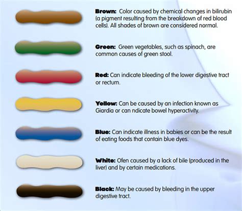 8 Sample Stool Color Charts Sample Templates