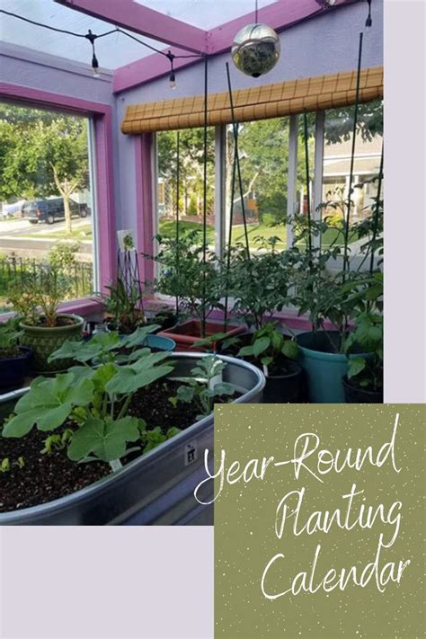 Greenhouse Planting Guide For Year Round Harvest