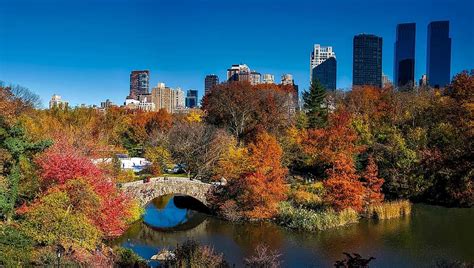 Central Park New York City Urban Fall Autumn Colorful Trees