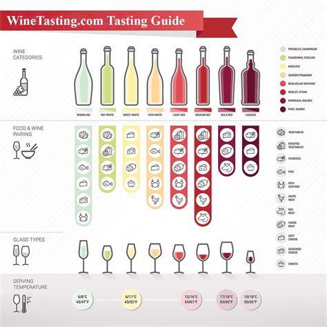 The Art Of Wine Tasting