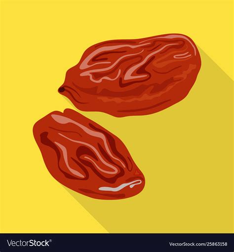 Isolated Object Raisin And Dry Icon Collection Vector Image