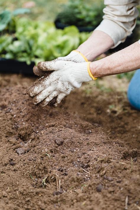 Essential Soil Preparation Tips For Successful Planting Riveal