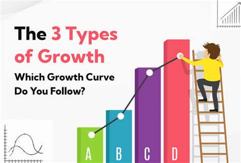 The 3 Types Of Growth Which Growth Curve Do You Follow Founderjar