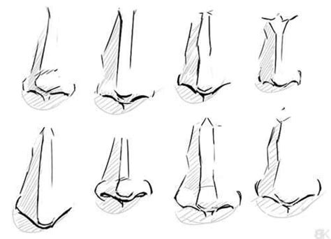 Darken the outline of the body and erase the guide lines to finish your drawing. Nose chart different basic shapes | Nose drawing, Art ...