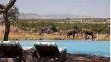 Photos of Serengeti Tanzania Resort