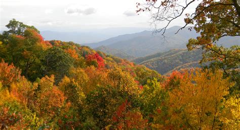 Best Places To See Fall Leaves Around Nashville Nashville Moms