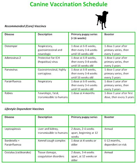 What Shots Do 3 Month Old Puppies Need