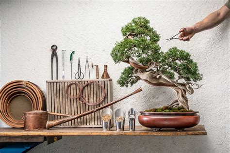 See The Tiny Tools Required For The Ancient Art Of Bonsai