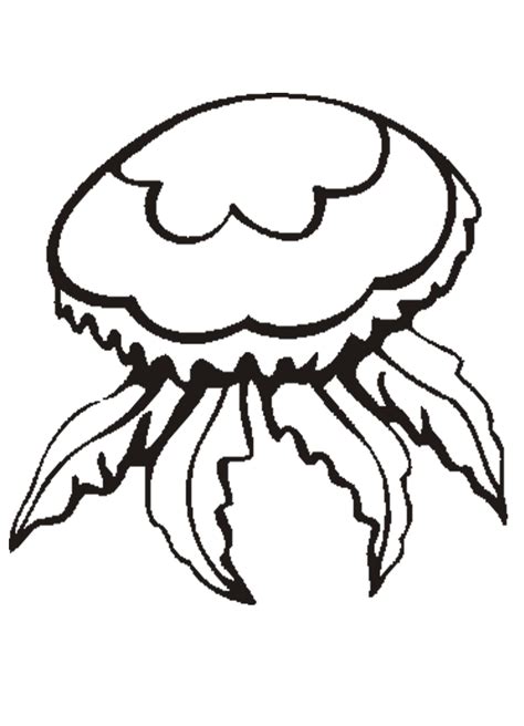 Cute Jellyfish Coloring Pages