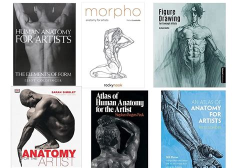 Human Anatomy Art Book Skeletal Anatomy Sitting Bodewasude