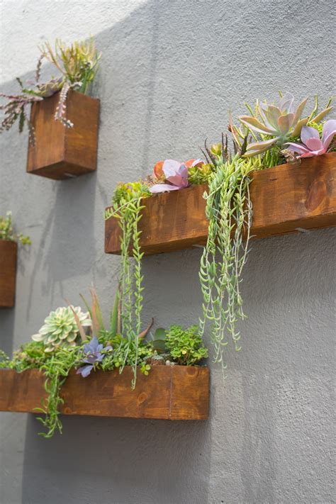 If you lack the square footage necessary to have a ton of plants, there's always a solution—look to your walls! 13 Outdoor Succulent Wall Garden Ideas | Garden wall ...