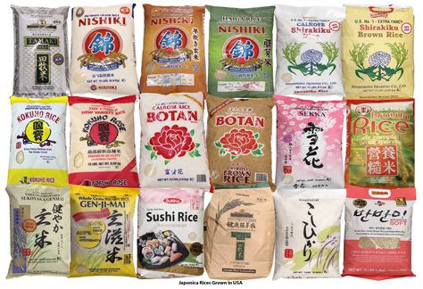 Indian Brown Rice Brands
