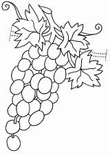 Coloring Grapes Fruits Vegetables Coloringtop sketch template