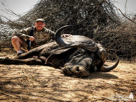 Buffalo Hunting In South Africa