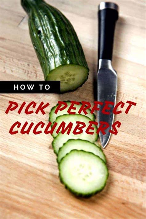 How To Pick Out The Perfect Cucumber In Jan 2024