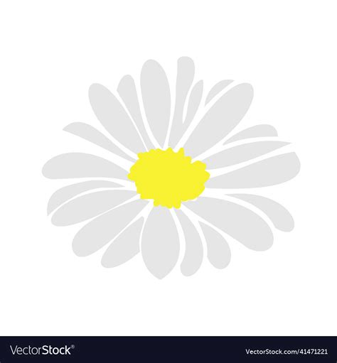 Daisy Floral Elements Hand Drawn Royalty Free Vector Image