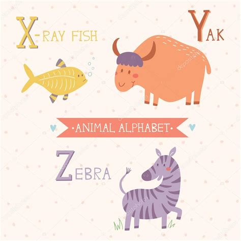 Alfabeto Animal Peces De Rayos X Yak Cebra Vector Gráfico Vectorial
