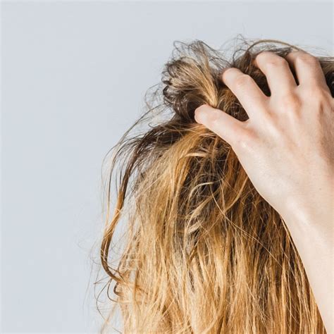 What Are Some Quick Ways To Reduce Your Greasy Hair Human Hair Exim