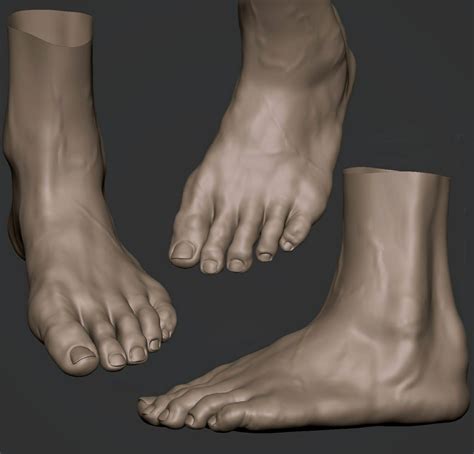 Artstation Feet Ran Manolov Zbrush Anatomy Foot Anatomy Human