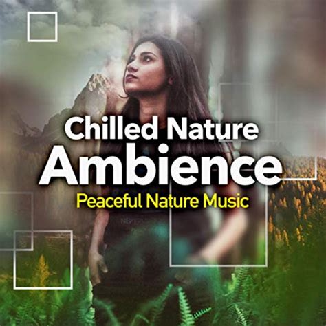 Chilled Nature Ambience Peaceful Nature Music Digital Music
