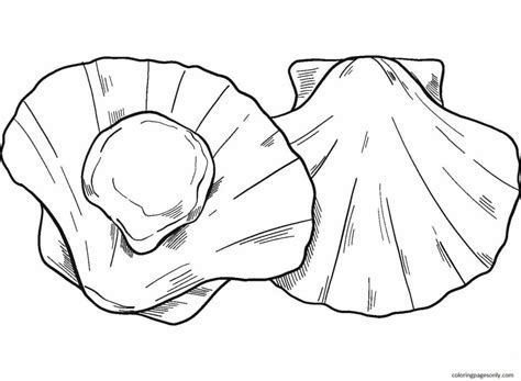 Clam Coloring Pages Printable For Free Download