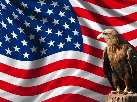 American Usa Flag With Eagle Wall Sticker Custom Wall