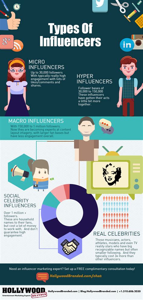 The Types Of Social Influencers Infographic