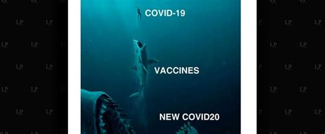 A place to post the dankest memes. Pfizer Covid 19 Vaccine Memes : 50 Of The Best Covid ...