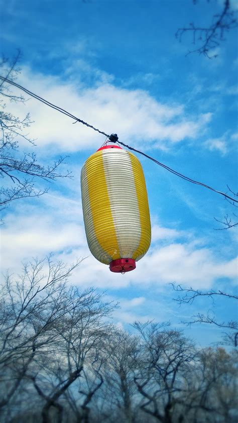 Download Wallpaper 938x1668 Chinese Lantern Sky Branches Iphone 87